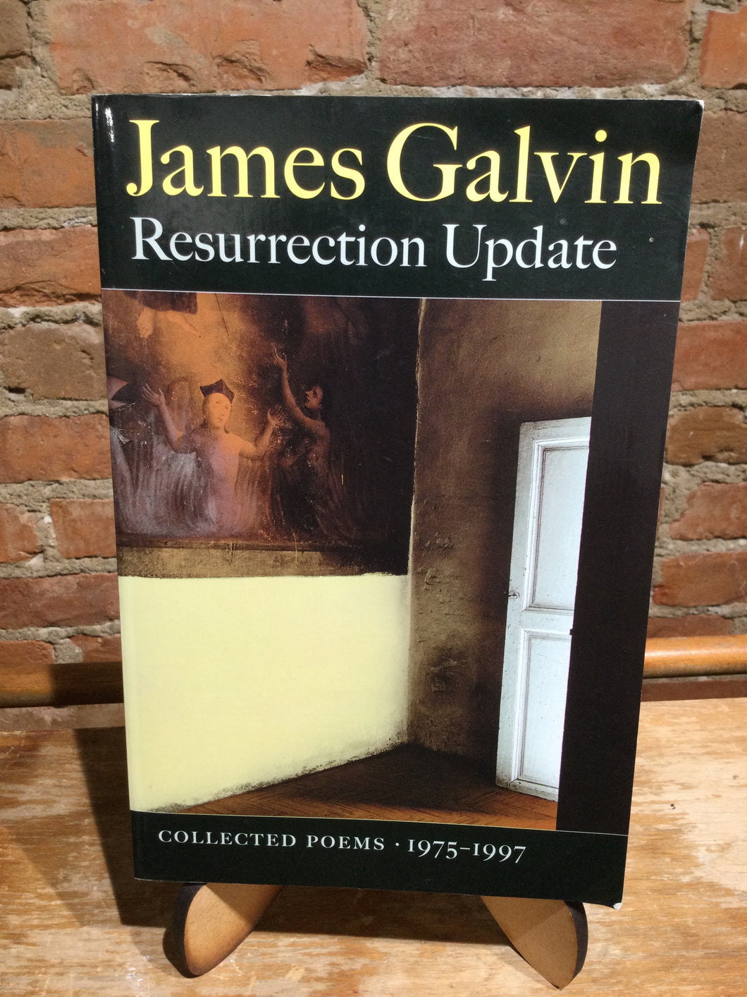 Galvin, James: Resurrection Update [used paperback]