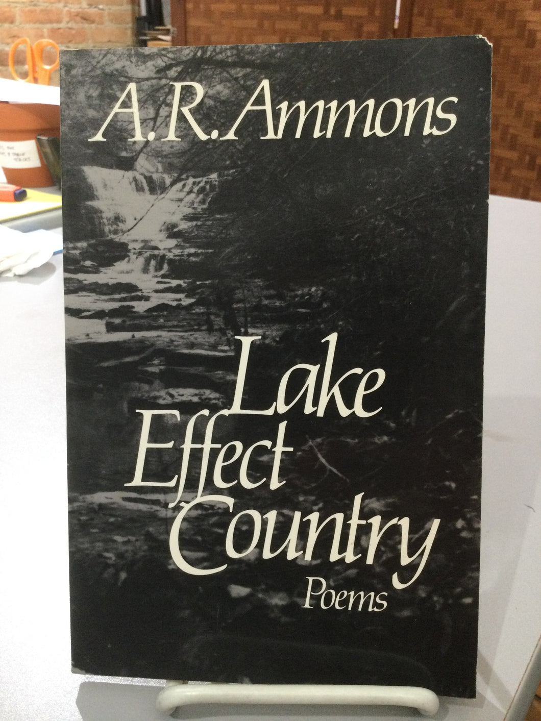Ammons, A. R.: Lake Effect Country [used paperback]