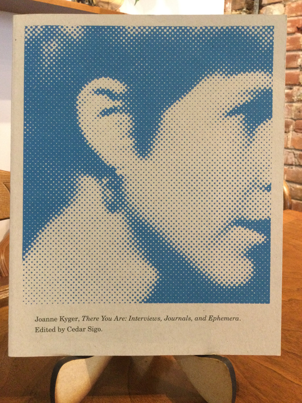 Kyger, Joanne / Sigo (ed.): There You Are (used paperback)