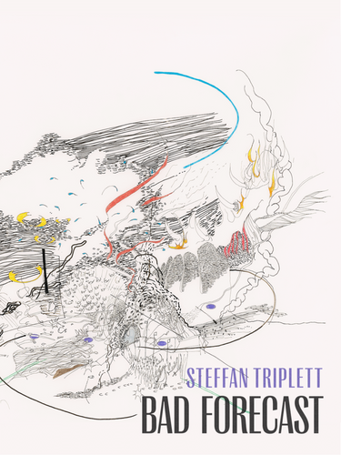 Triplett, Steffan: Bad Forecast