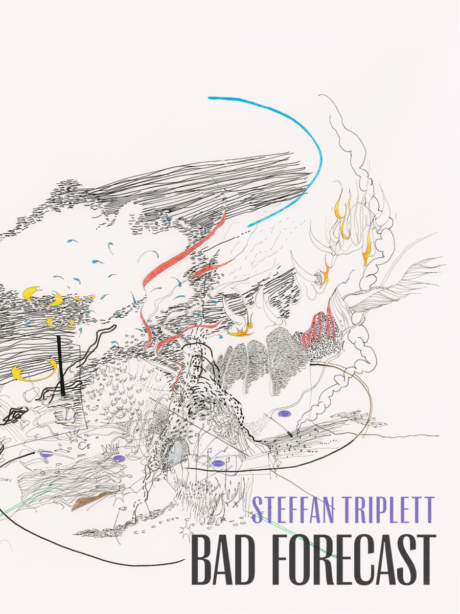 Triplett, Steffan: Bad Forecast
