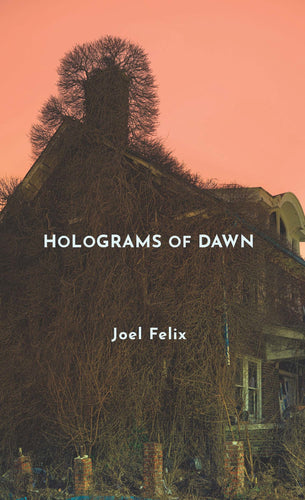 Felix, Joel: Holograms of Dawn