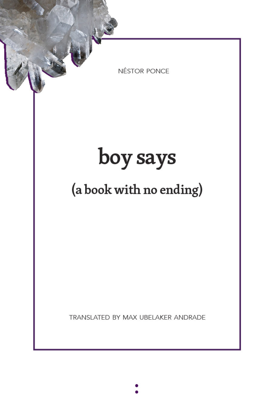 Ponce, Néstor / Andrade, Max Ubelaker (tr.): boy says