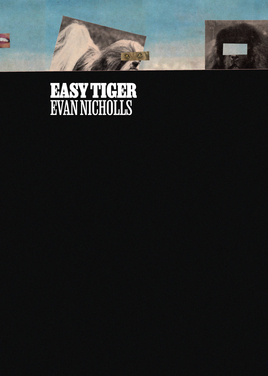 Nicholls, Evan: Easy Tiger