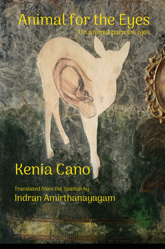 Cano, Kenia / Amirthanayagam, Indran (tr.): Animal for the Eyes