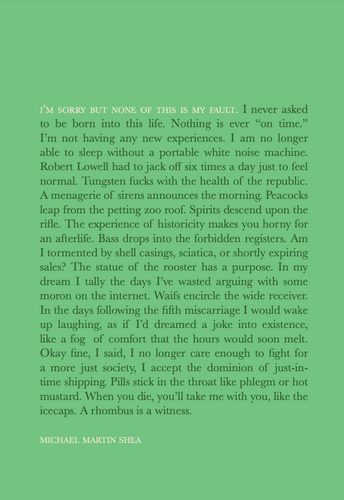 Shea, Michael Martin: I'm Sorry But None of This Is My Fault