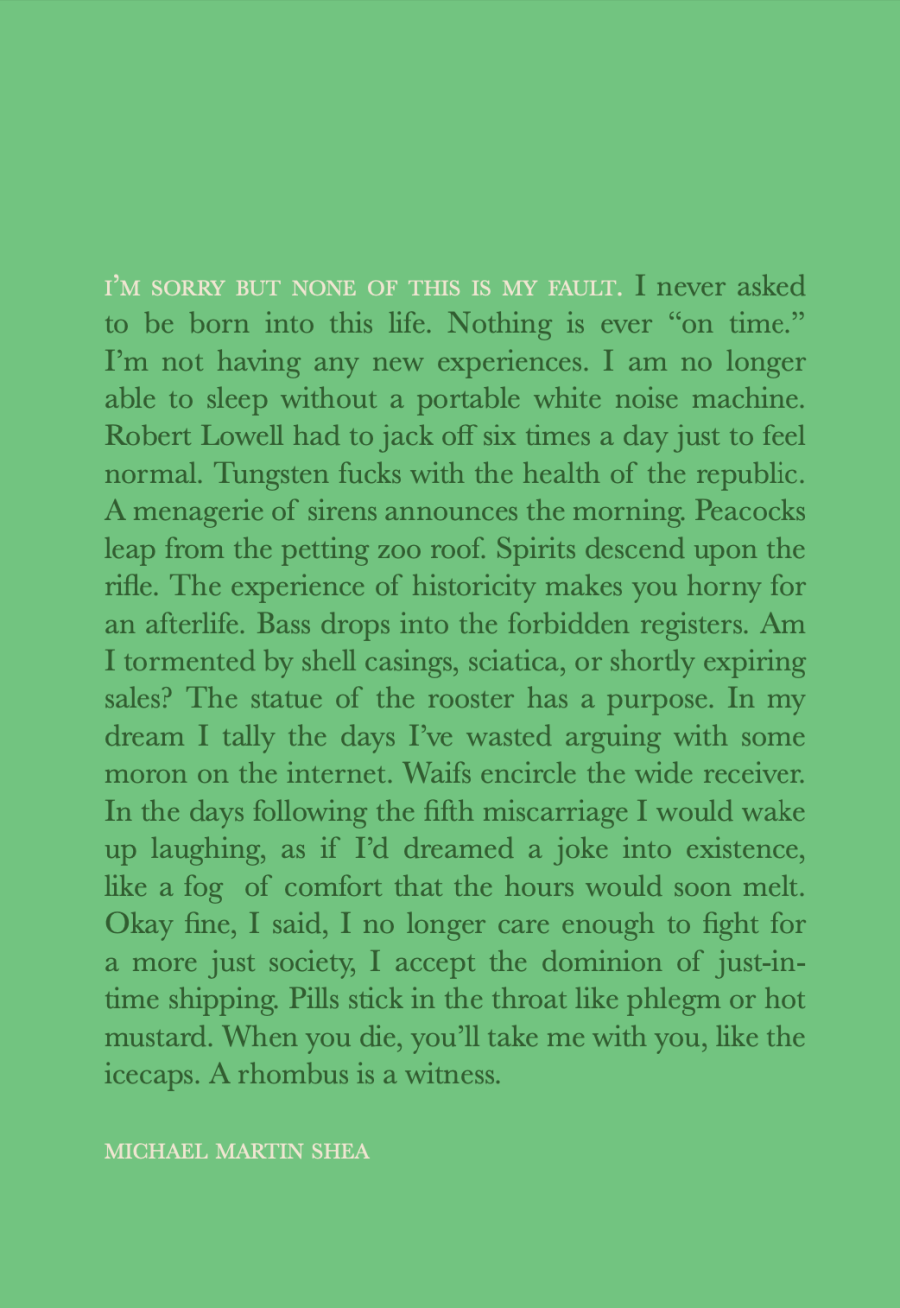 Shea, Michael Martin: I'm Sorry But None of This Is My Fault