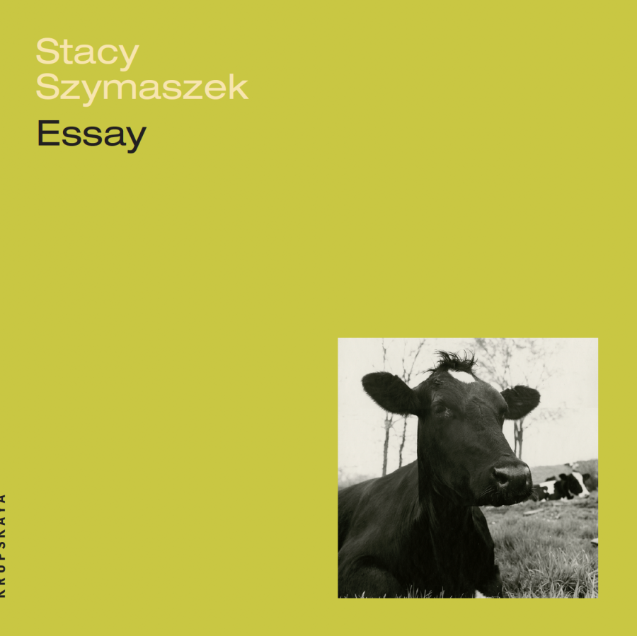 Szymaszek, Stacy: Essay