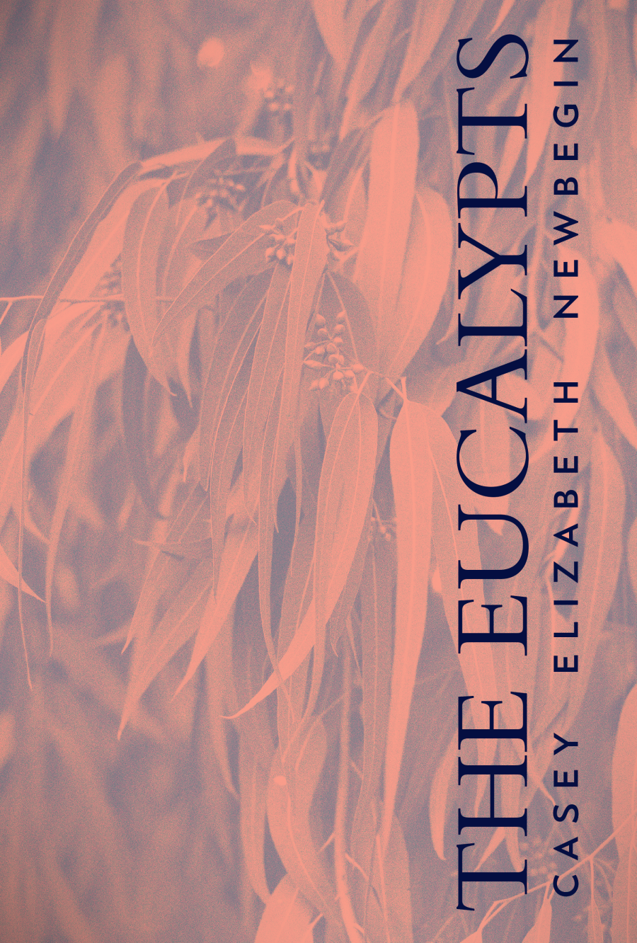 Newbegin, Casey: The Eucalypts