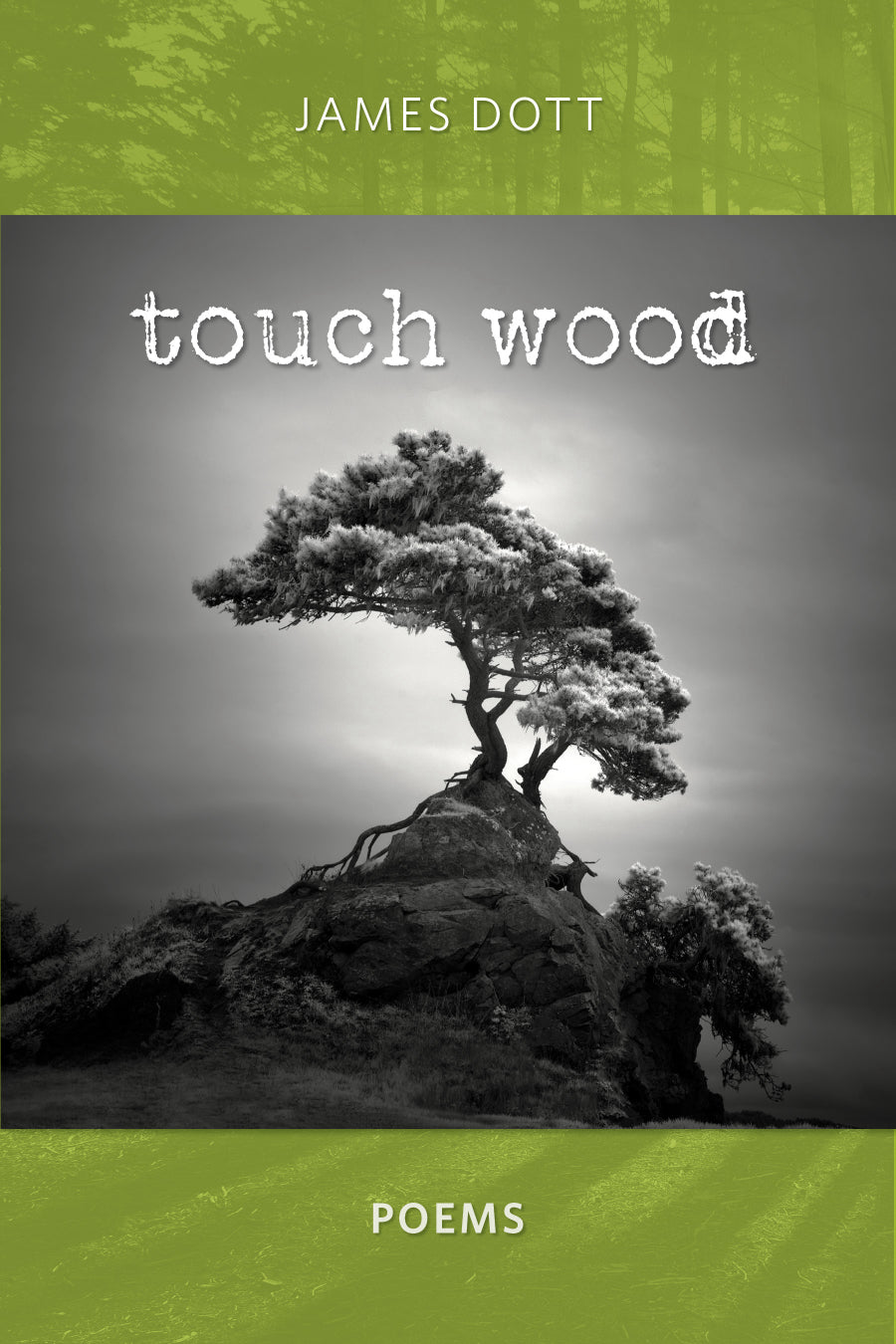 Dott, James: Touch Wood