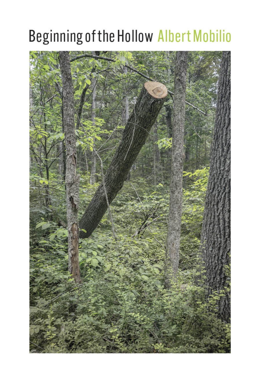 [01/15/26] Mobilio, Albert: Beginning of the Hollow