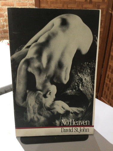 St. John, David: No Heaven [used paperback]