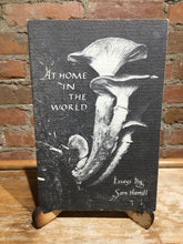 [Rare] Hamill, Sam: At Home in the World: Essays by Sam Hamill [used paperback]