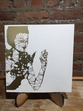 Borsuk, Amaranth and Durbin, Kate: Abra [used paperback]