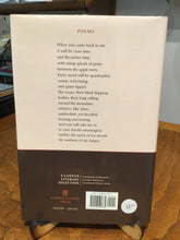 Stone, Ruth: In the Next Galaxy [used hardcover]