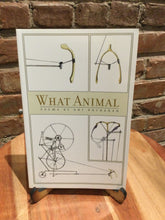 Buchanan, Oni: What Animal [used paperback]