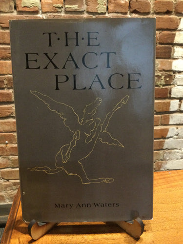 [Rare] Waters, Mary Ann: The Exact Place [used hardcover]