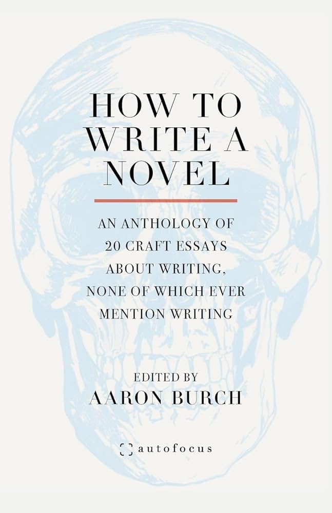 Burch, Aaron: How To Write a Novel