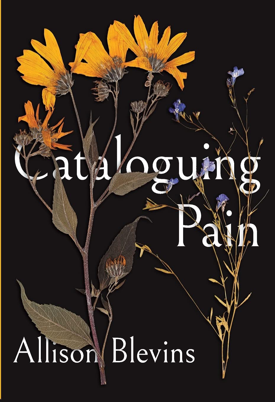 Blevins, Allison: Cataloguing Pain