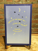 [Rare] Gross, Pamela: Birds of the Night Sky/Stars of the Field [used paperback]