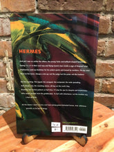 Biespiel, David: Wild Civility [used hardcover]