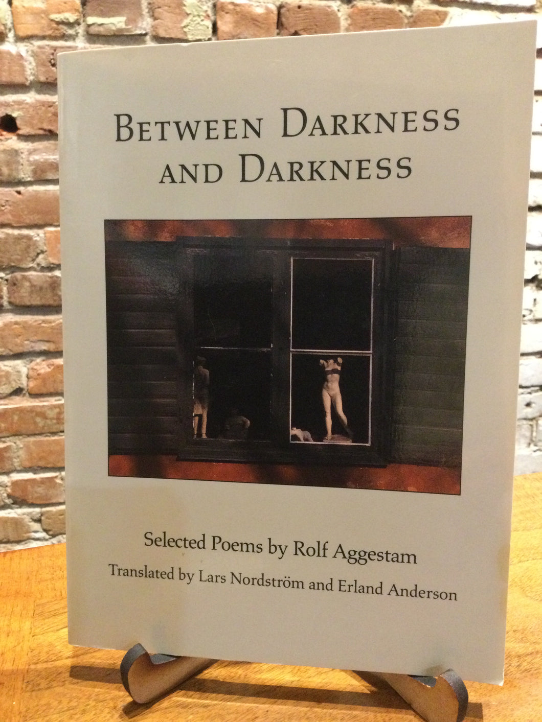 [Rare] Aggestam, Rolf: Between Darkness and Darkness [used paperback]