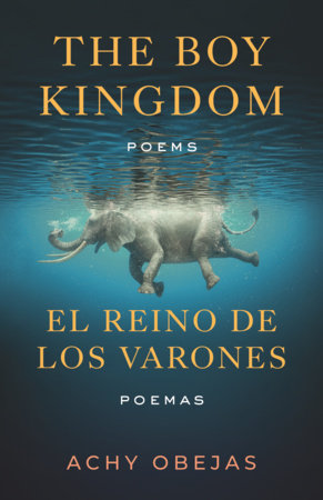 Obejas, Achy: The Boy Kingdom / El Reino de Los Varones