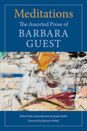 Guest, Barbara / Shafer, Joseph (ed.): Meditations (HB)
