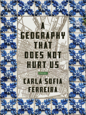 Ferreira, Carla Sofia: A Geography That Does Not Hurt Us