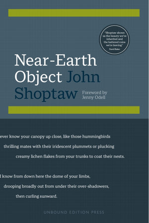 Shoptaw, John: Near-Earth Object