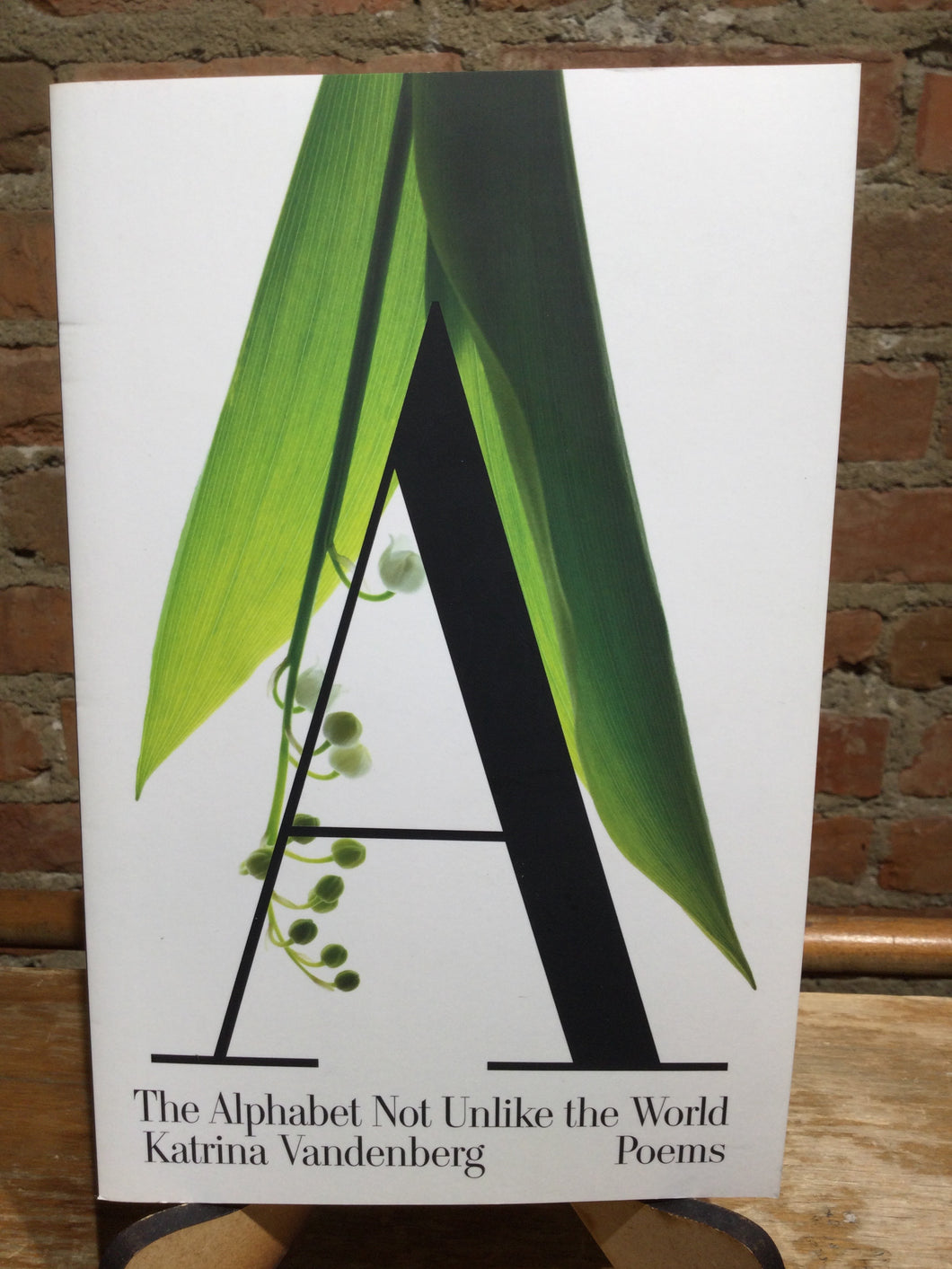 Vandenberg, Katrina: The Alphabet Not Unlike the World [used paperback]