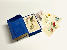 Popova, Maria: An Almanac of Birds: 100 Divinations for Uncertain Days