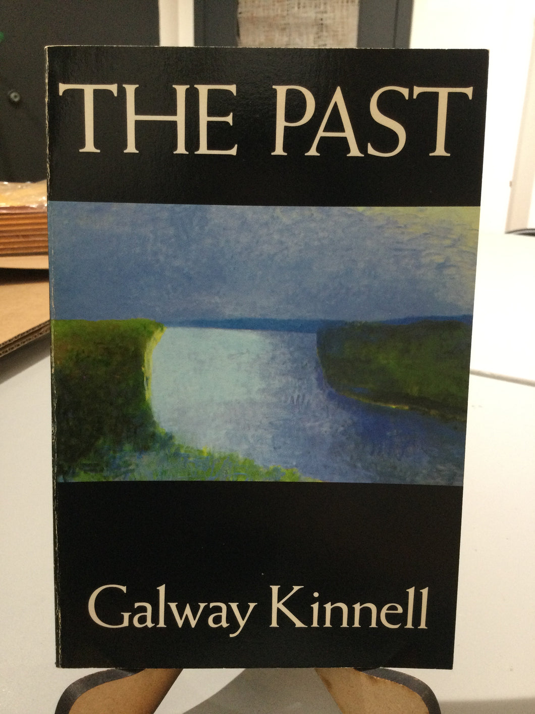 Kinnell, Galway: The Past [used paperback]