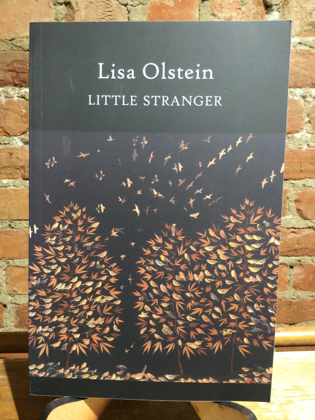 Olstein, Lisa: Little Stranger [used paperback]