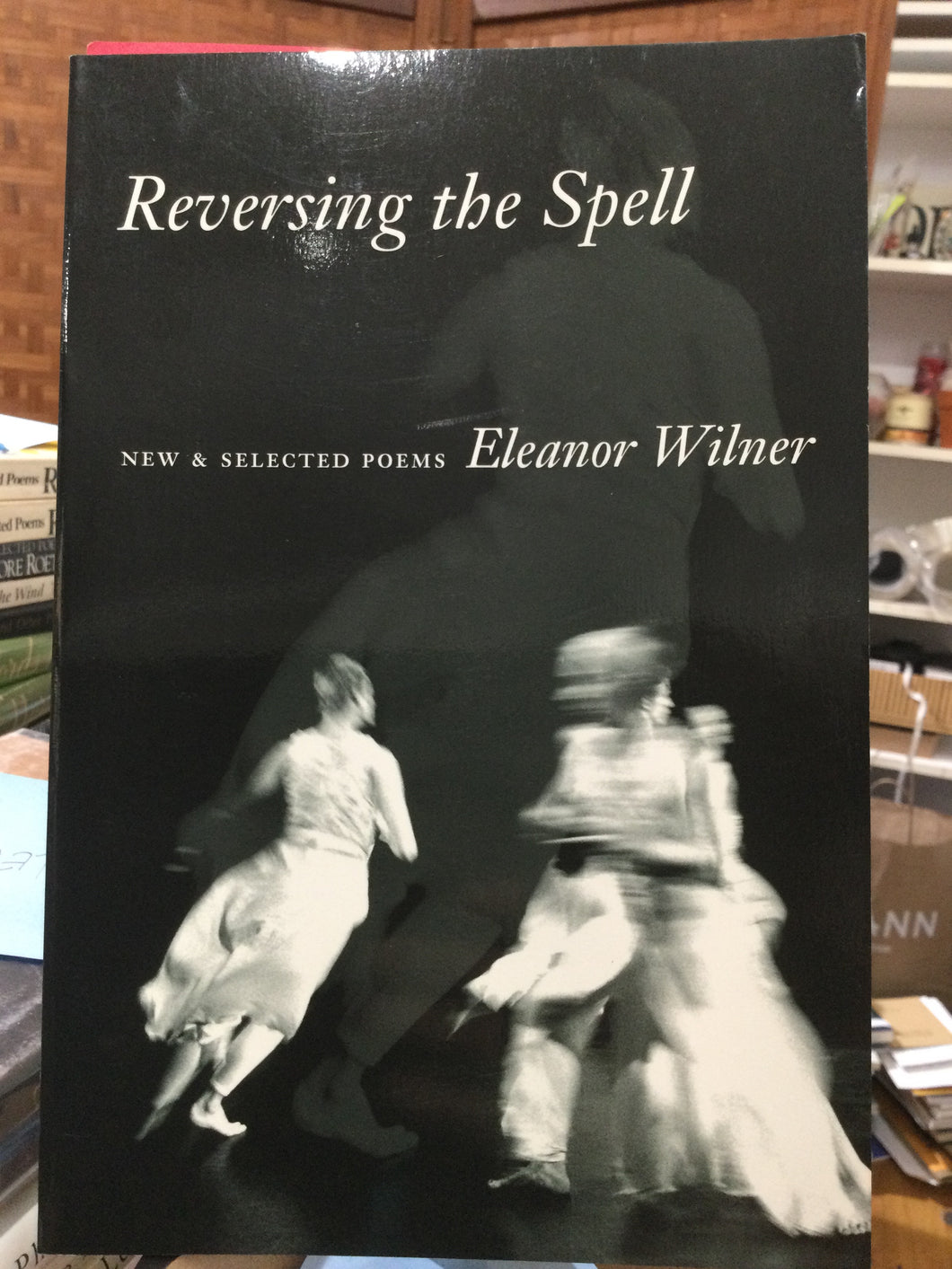 Wilner, Eleanor: Reversing the Spell [used paperback]