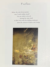 Tagore, Rabindranath / Radice & Dyson (trs.): The One & the Many [used paperback]