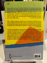 [Rare] Katz, Vincent: Southness [used paperback]