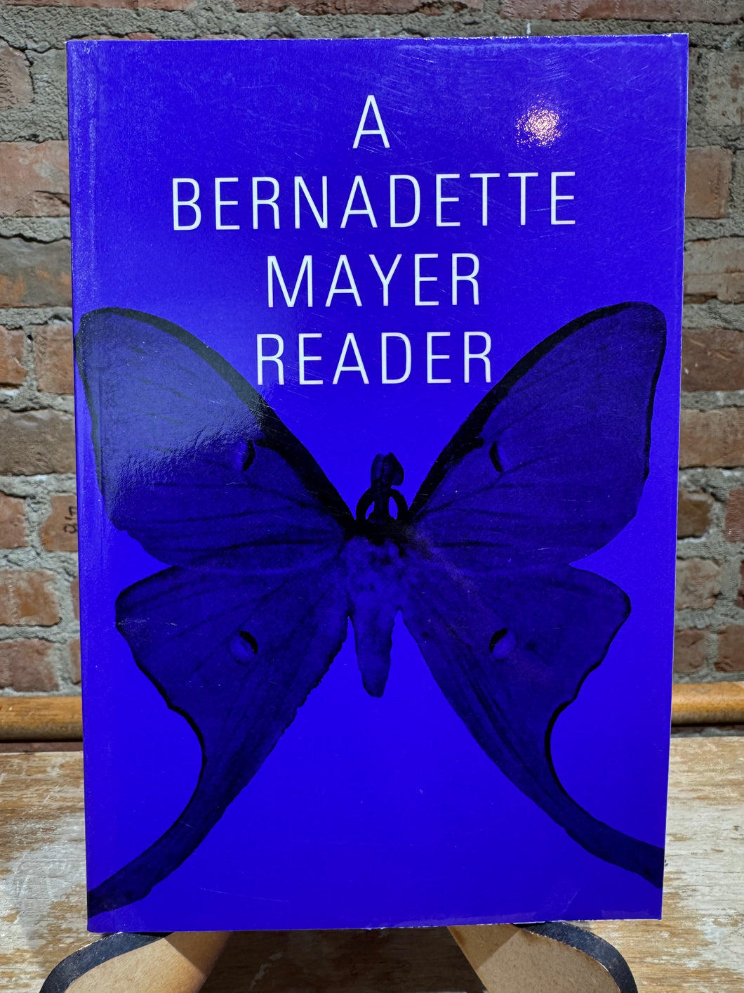 A Bernadette Mayer Reader [used paperback]