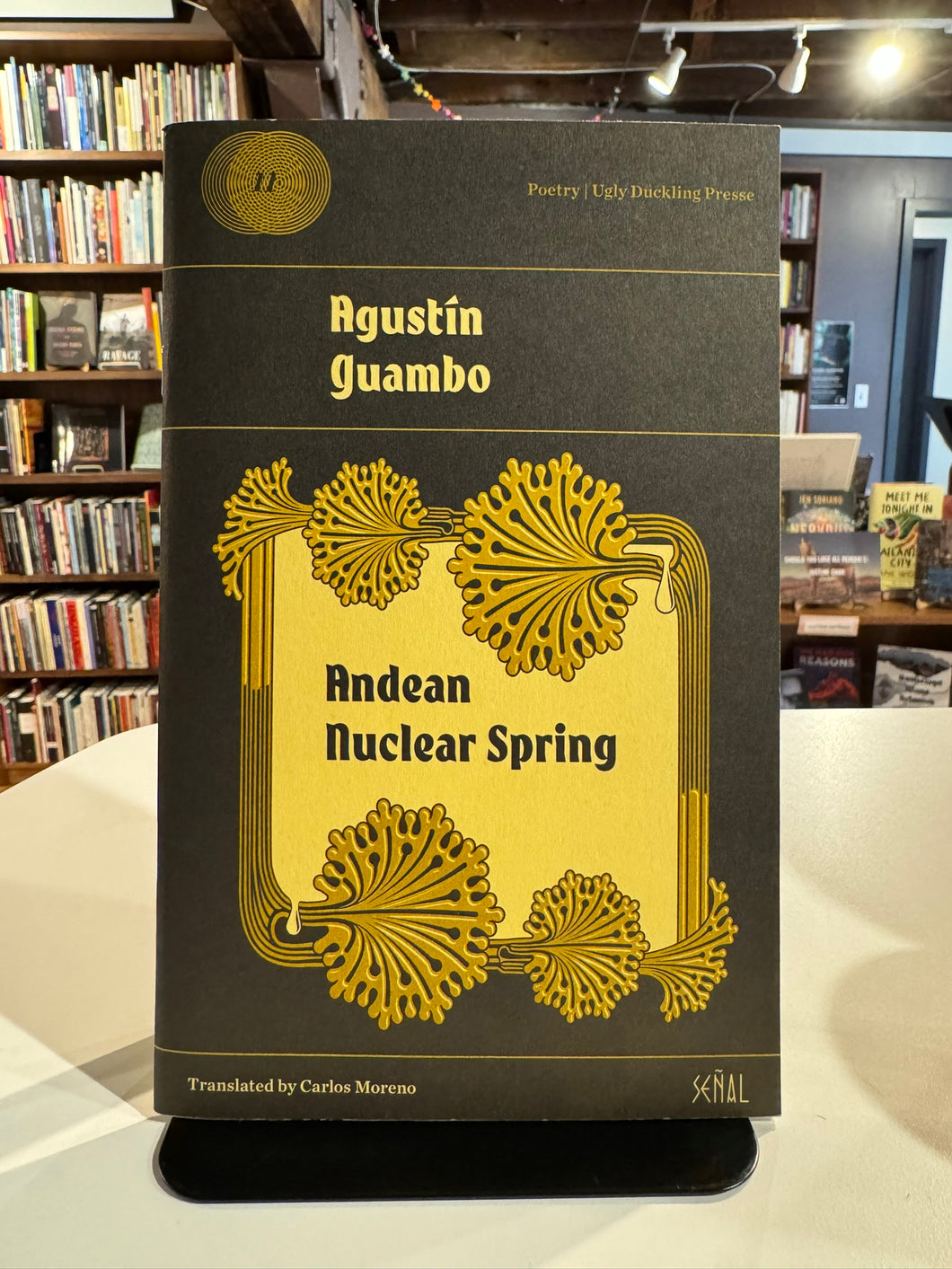 Guambo, Agustín: Andean Nuclear Spring