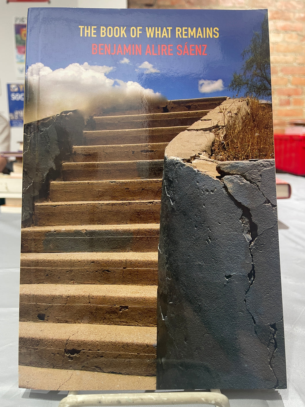 Sáenz, Benjamin Alire: The Book of What Remains [used paperback]