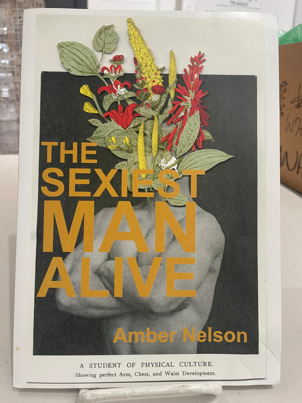 Nelson, Amber: The Sexiest Man Alive [used paperback]