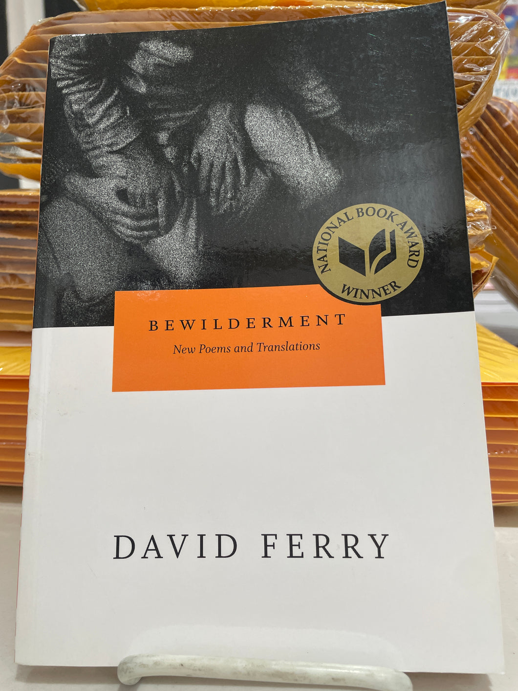 Ferry, David: Bewilderment [used paperback]