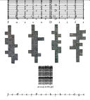Pethybridge, Jeffrey: Force Drift: An Essay in the Epic