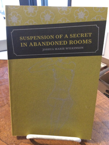 [Rare] Wilkinson, Joshua Marie: Suspension of a Secret in Abandoned Rooms [used paperback]