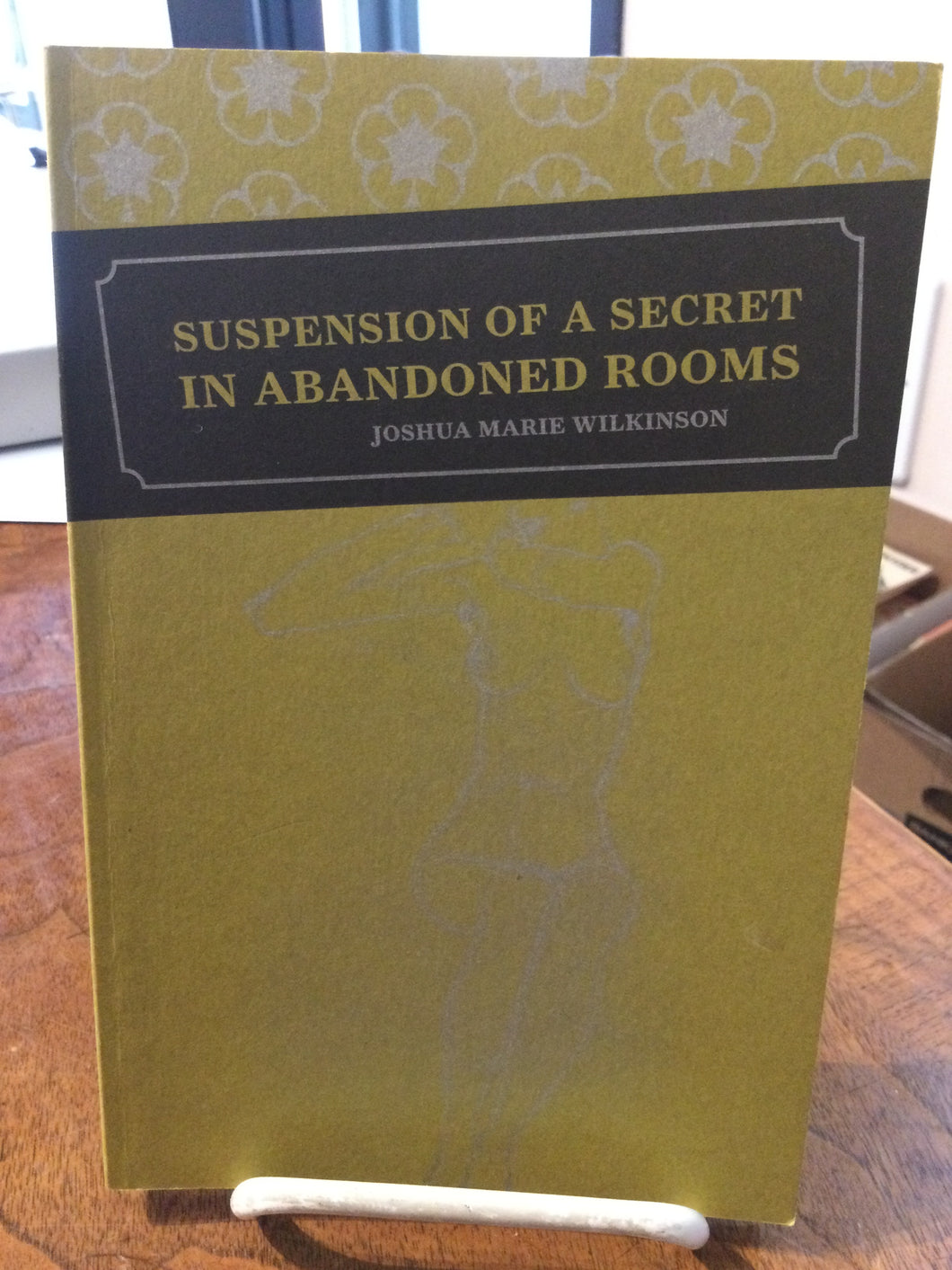 [Rare] Wilkinson, Joshua Marie: Suspension of a Secret in Abandoned Rooms [used paperback]