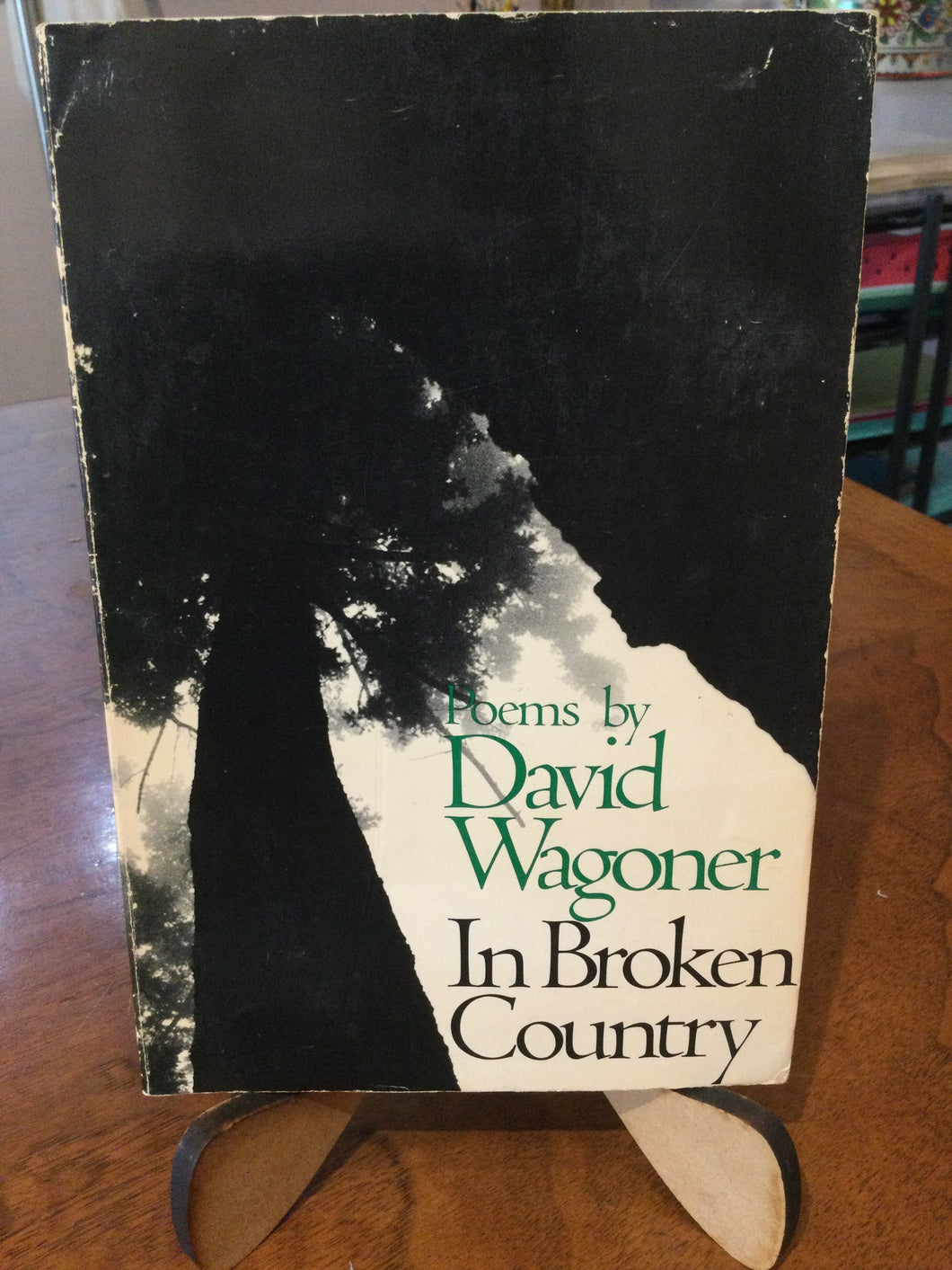 Wagoner, David: In Broken Country [used paperback]