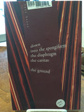 [Rare] Nealon, Chris: Plummet [used paperback]