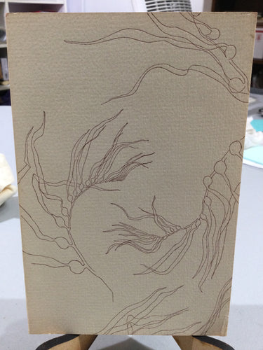 [Rare] H.D: The Poet and the Dancer [used paperback]