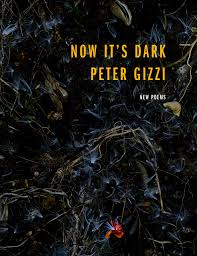 Gizzi, Peter: Now It's Dark (HB)