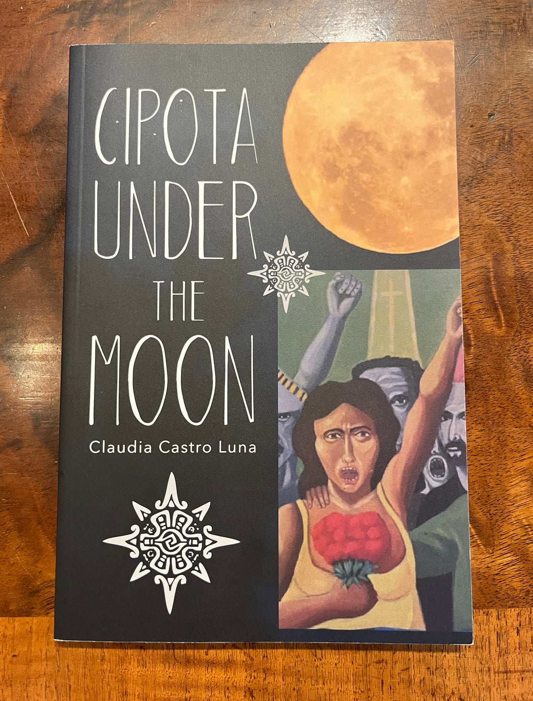 Luna, Claudia Castro: Cipota Under the Moon [used paperback]